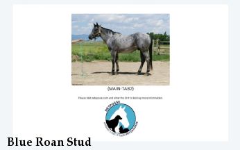 Blue Roan Stud
